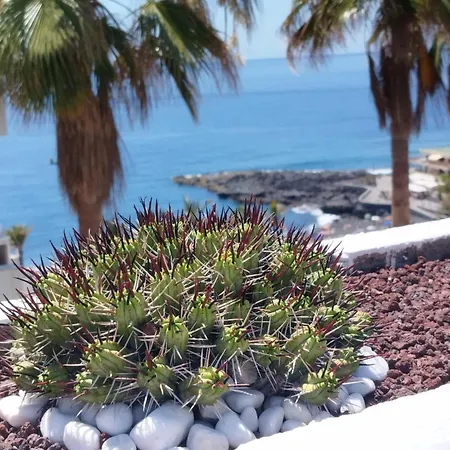 Sol Del Sur Ocean View Apartment