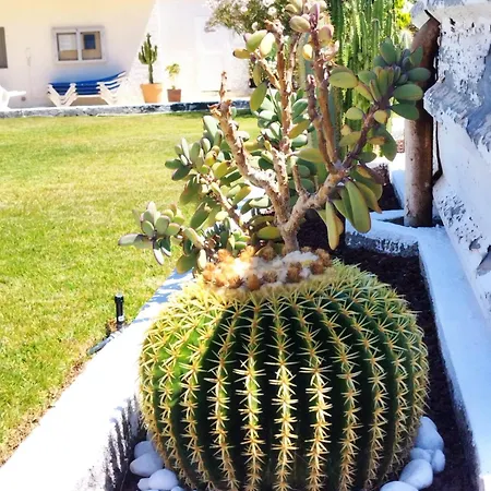 Sol Del Sur Ocean View Пуэрто-де-Сантьяго