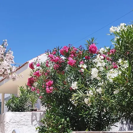 Sol Del Sur Ocean View Пуэрто-де-Сантьяго